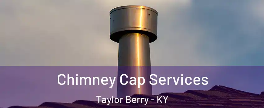 Chimney Cap Services Taylor Berry - KY