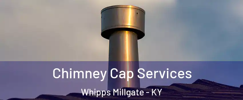 Chimney Cap Services Whipps Millgate - KY