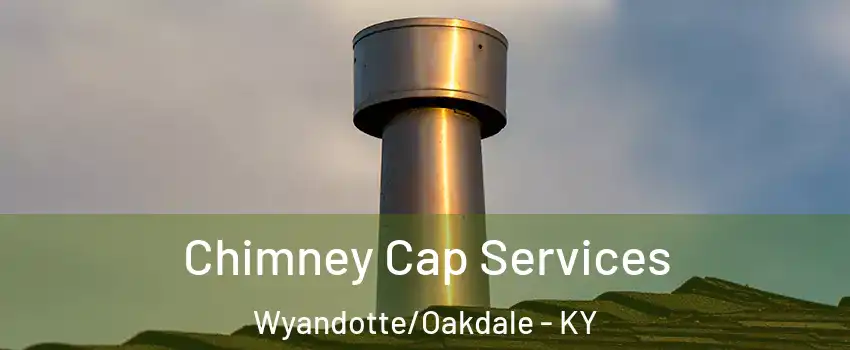 Chimney Cap Services Wyandotte/Oakdale - KY