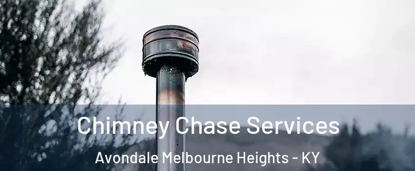 Chimney Chase Services Avondale Melbourne Heights - KY