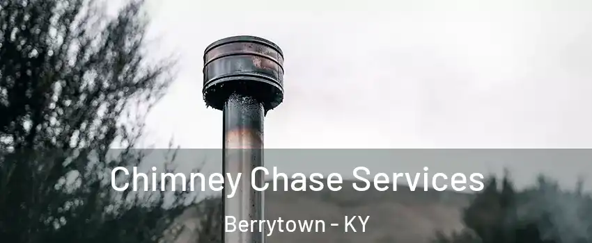 Chimney Chase Services Berrytown - KY