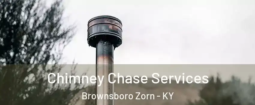 Chimney Chase Services Brownsboro Zorn - KY