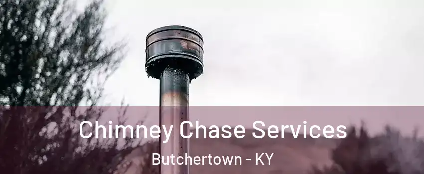 Chimney Chase Services Butchertown - KY