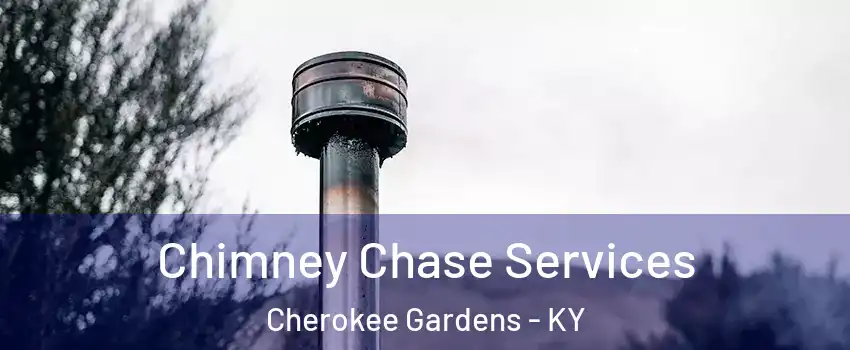 Chimney Chase Services Cherokee Gardens - KY