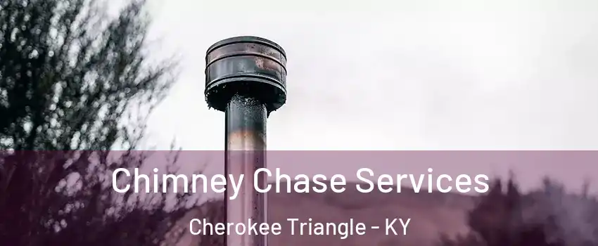 Chimney Chase Services Cherokee Triangle - KY