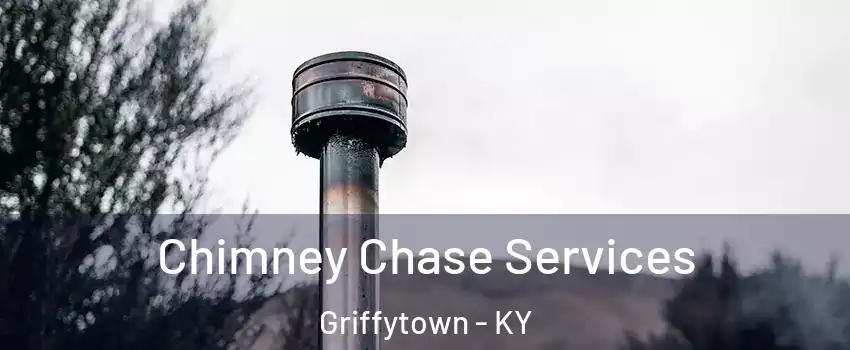 Chimney Chase Services Griffytown - KY