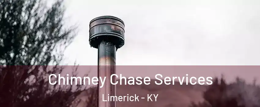 Chimney Chase Services Limerick - KY