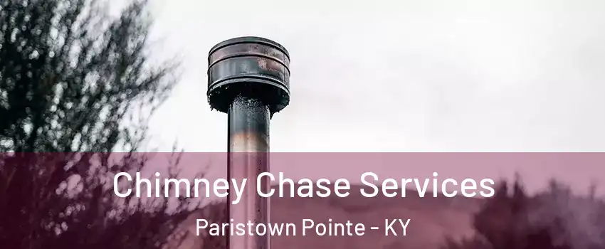 Chimney Chase Services Paristown Pointe - KY