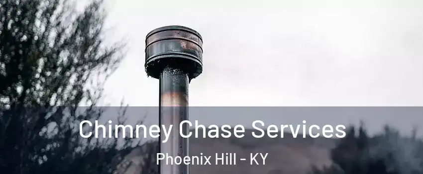 Chimney Chase Services Phoenix Hill - KY