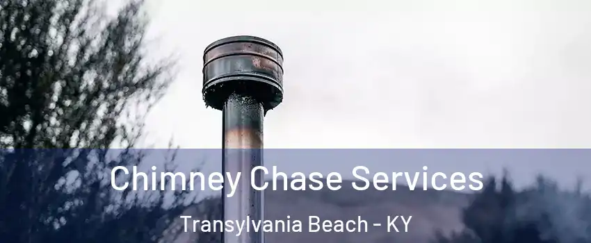 Chimney Chase Services Transylvania Beach - KY