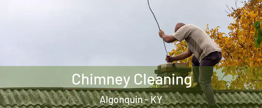 Chimney Cleaning Algonquin - KY