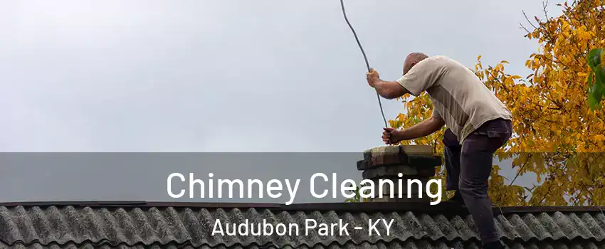 Chimney Cleaning Audubon Park - KY