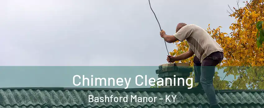 Chimney Cleaning Bashford Manor - KY