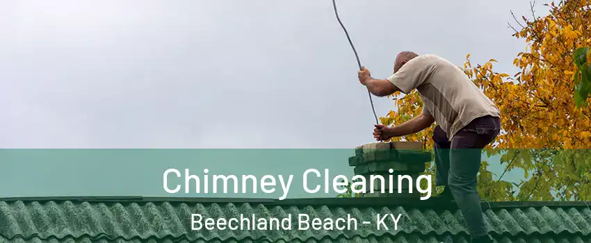 Chimney Cleaning Beechland Beach - KY