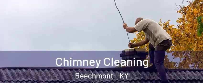 Chimney Cleaning Beechmont - KY