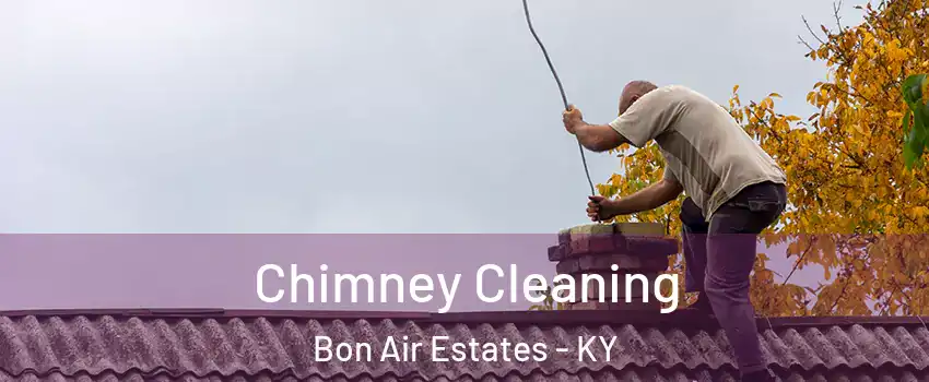 Chimney Cleaning Bon Air Estates - KY