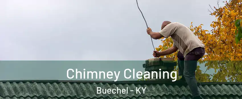 Chimney Cleaning Buechel - KY