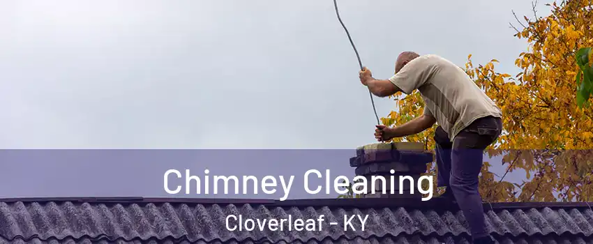 Chimney Cleaning Cloverleaf - KY