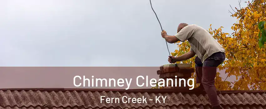 Chimney Cleaning Fern Creek - KY