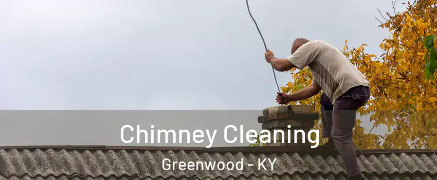 Chimney Cleaning Greenwood - KY