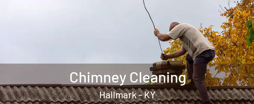 Chimney Cleaning Hallmark - KY