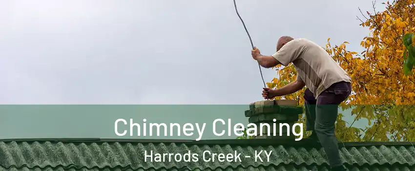 Chimney Cleaning Harrods Creek - KY