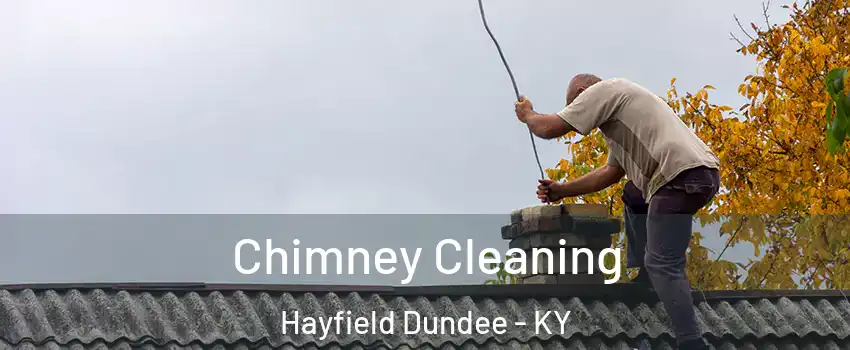 Chimney Cleaning Hayfield Dundee - KY