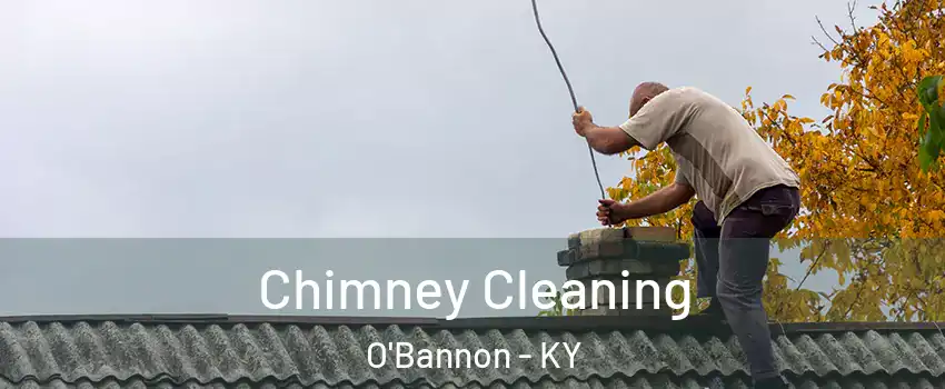 Chimney Cleaning O'Bannon - KY