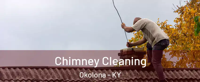 Chimney Cleaning Okolona - KY