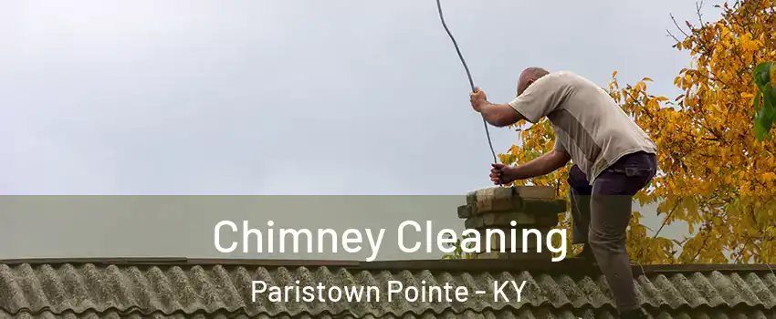 Chimney Cleaning Paristown Pointe - KY