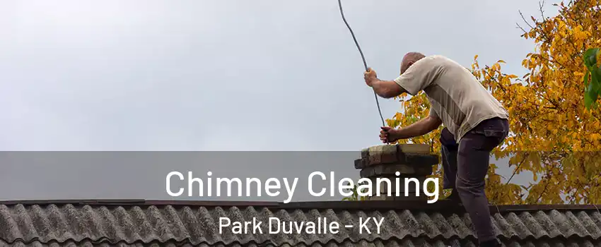 Chimney Cleaning Park Duvalle - KY