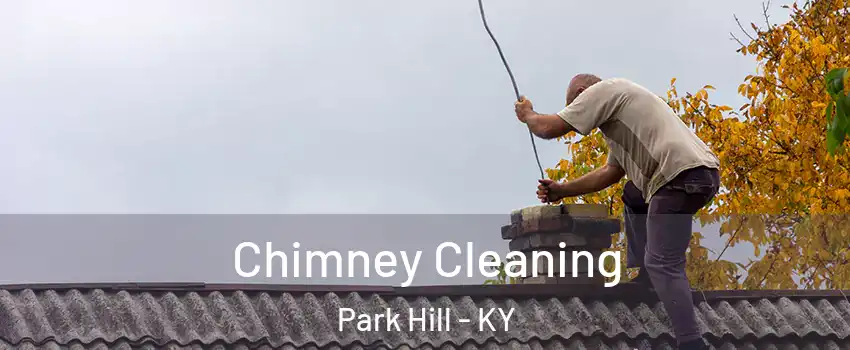 Chimney Cleaning Park Hill - KY