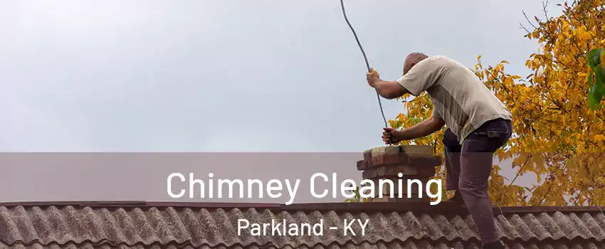 Chimney Cleaning Parkland - KY