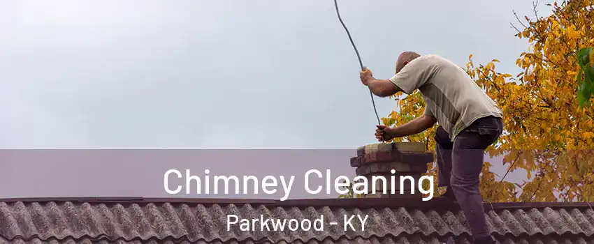 Chimney Cleaning Parkwood - KY