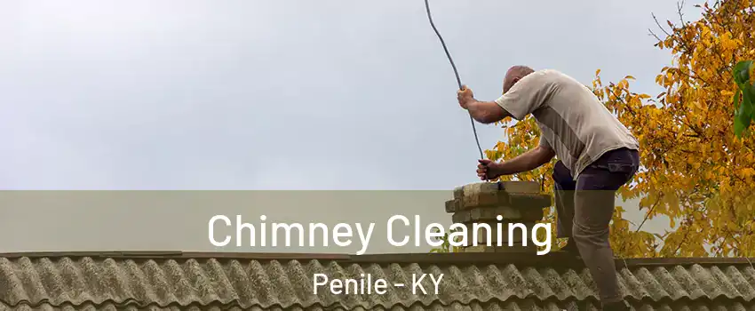 Chimney Cleaning Penile - KY