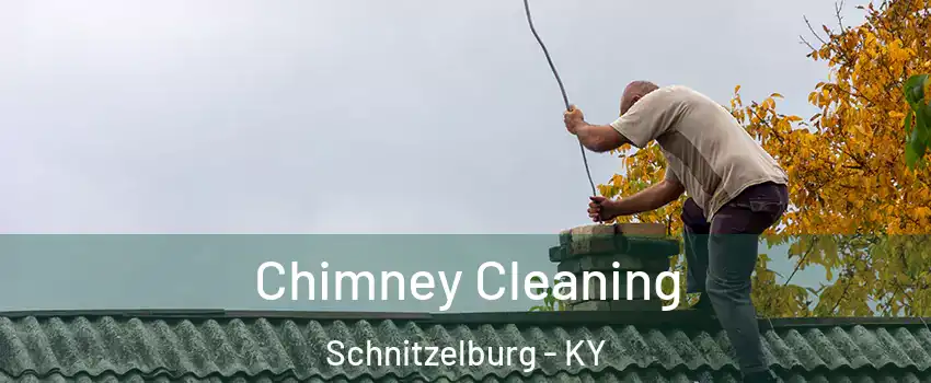 Chimney Cleaning Schnitzelburg - KY