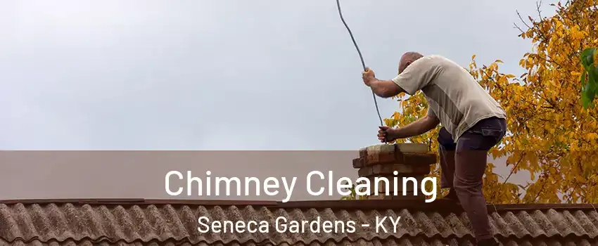 Chimney Cleaning Seneca Gardens - KY