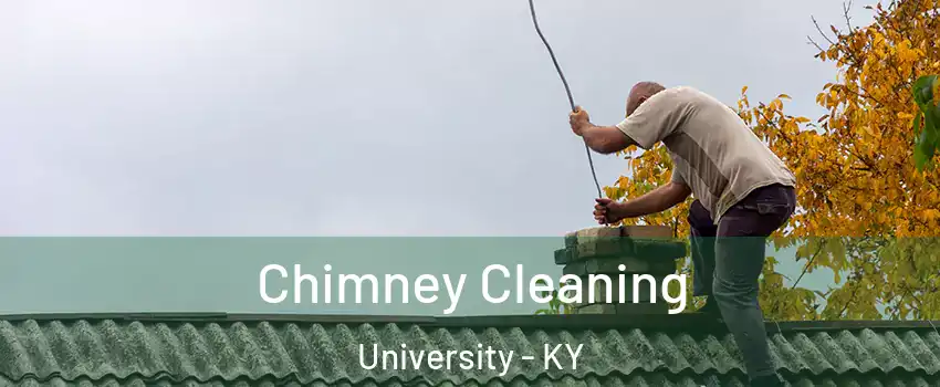 Chimney Cleaning University - KY