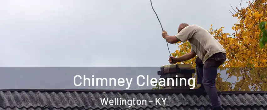 Chimney Cleaning Wellington - KY