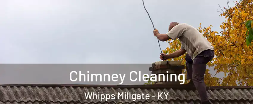 Chimney Cleaning Whipps Millgate - KY