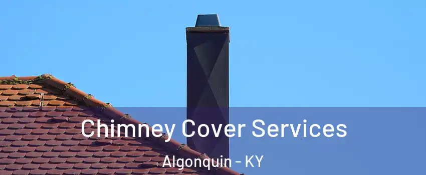 Chimney Cover Services Algonquin - KY