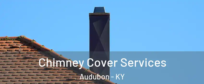 Chimney Cover Services Audubon - KY