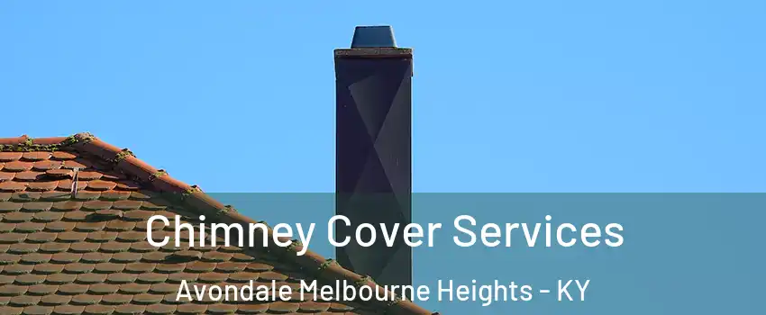 Chimney Cover Services Avondale Melbourne Heights - KY