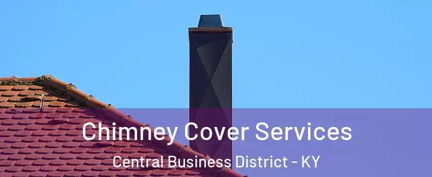 Chimney Cover Services Central Business District - KY