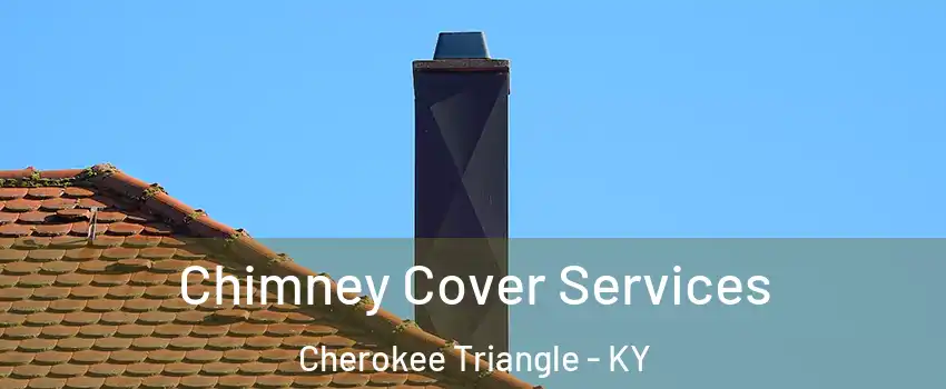 Chimney Cover Services Cherokee Triangle - KY