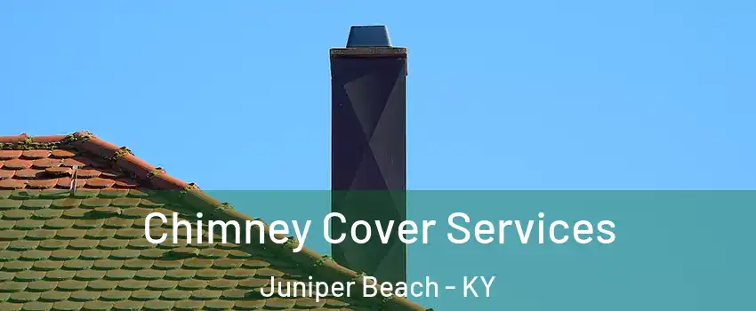 Chimney Cover Services Juniper Beach - KY