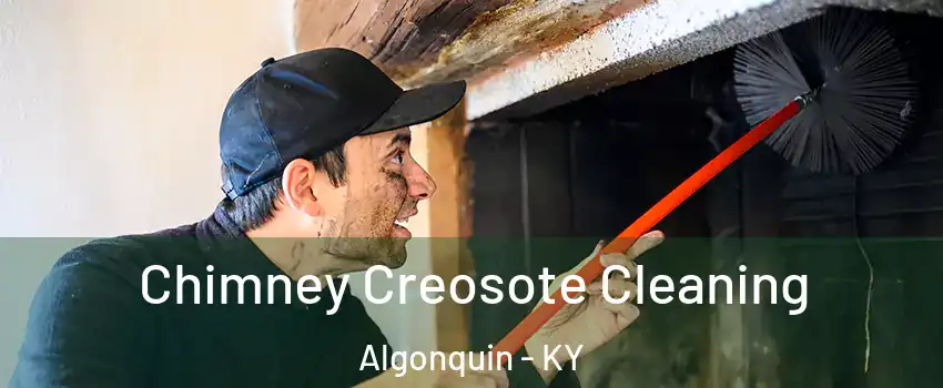 Chimney Creosote Cleaning Algonquin - KY