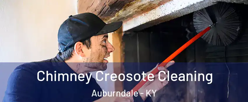 Chimney Creosote Cleaning Auburndale - KY