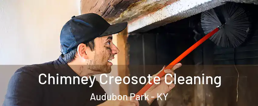 Chimney Creosote Cleaning Audubon Park - KY