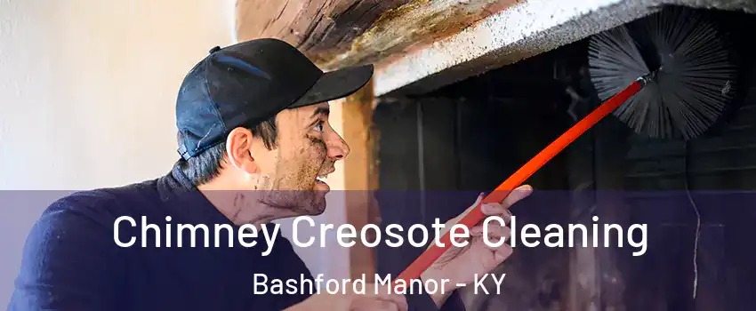 Chimney Creosote Cleaning Bashford Manor - KY